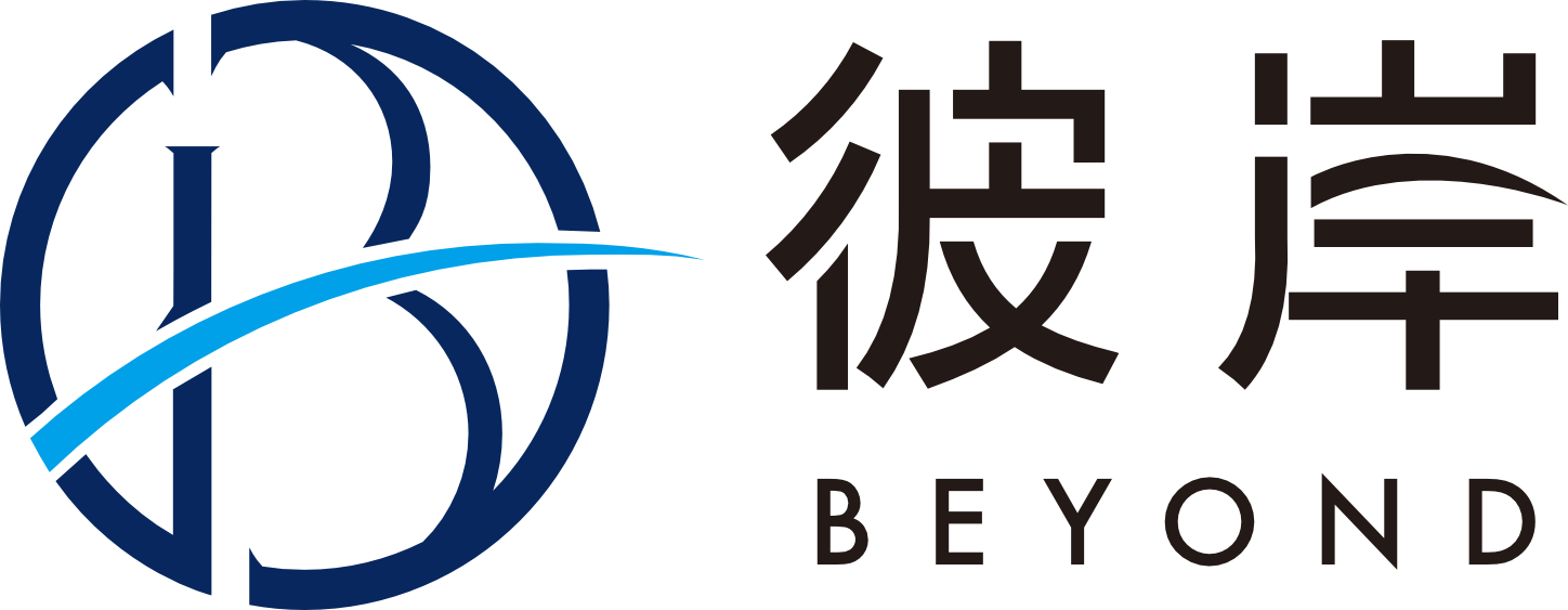 BeyondBorderGroup logo